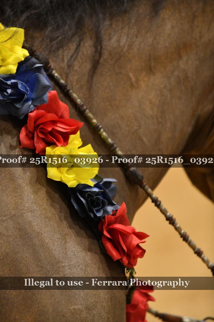 Proof Number 25R1516_03926