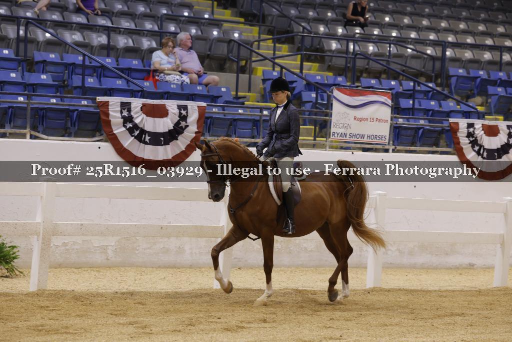 Proof Number 25R1516_03929