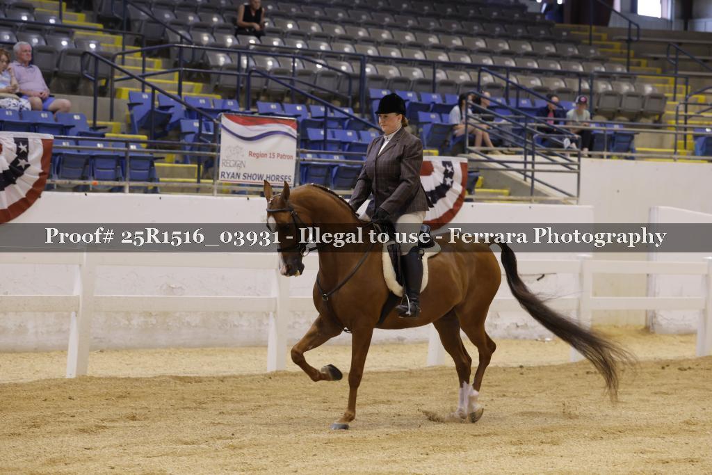 Proof Number 25R1516_03931