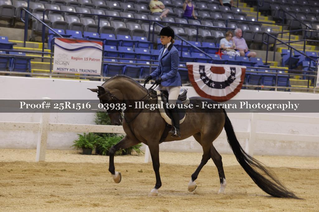 Proof Number 25R1516_03933