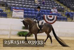 25R1516_03933 thumbnail