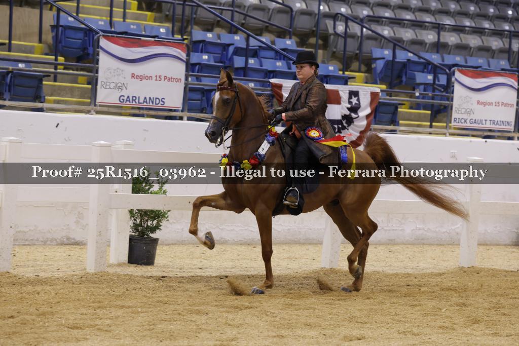 Proof Number 25R1516_03962