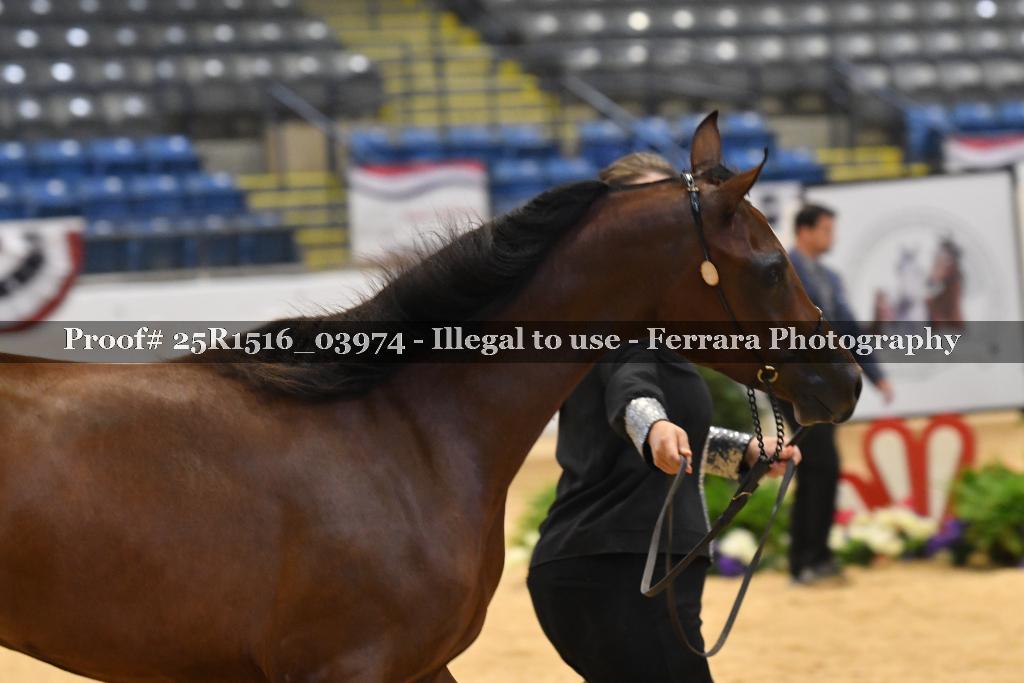 Proof Number 25R1516_03974