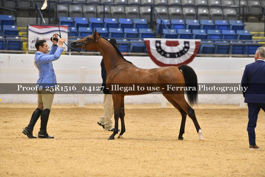 Proof Number 25R1516_04127