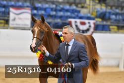 25R1516_04160 thumbnail