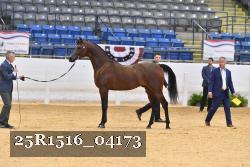 25R1516_04173 thumbnail
