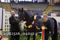 25R1516_04212 thumbnail