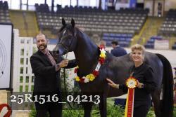 25R1516_04213 thumbnail