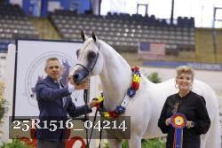 25R1516_04214 thumbnail