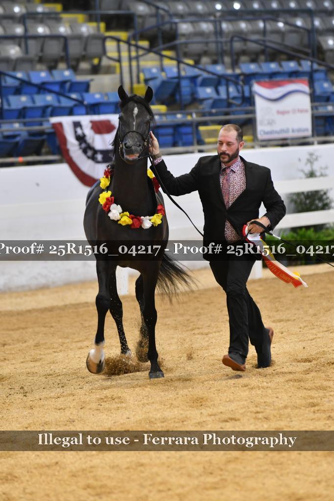 Proof Number 25R1516_04217