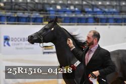 25R1516_04218 thumbnail