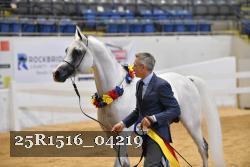 25R1516_04219 thumbnail