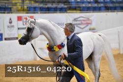 25R1516_04220 thumbnail