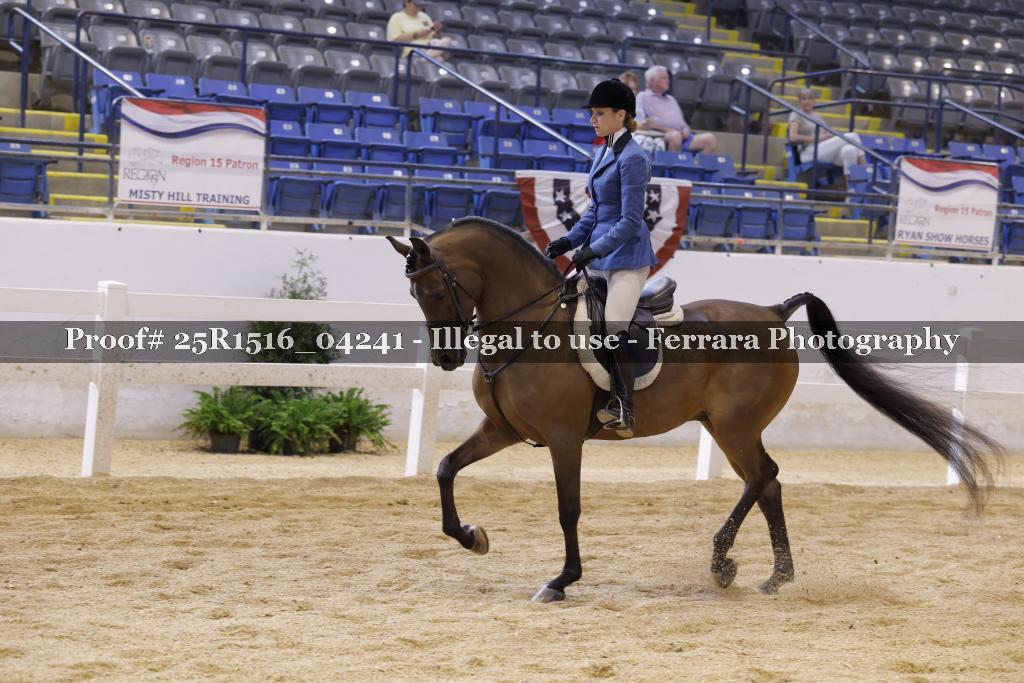Proof Number 25R1516_04241