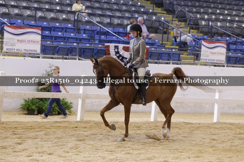 Proof Number 25R1516_04243