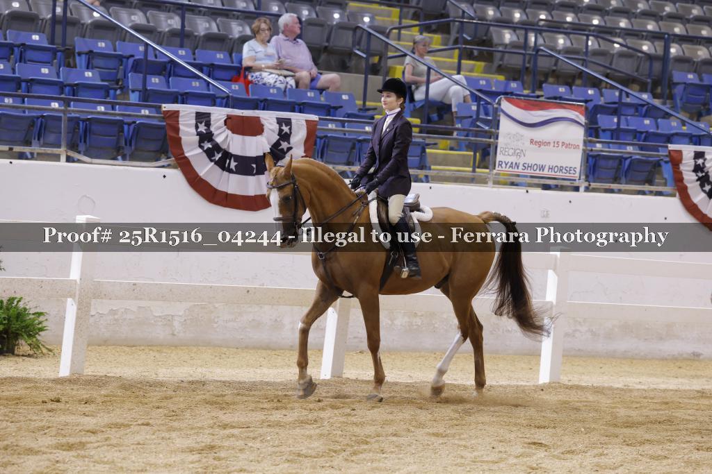 Proof Number 25R1516_04244
