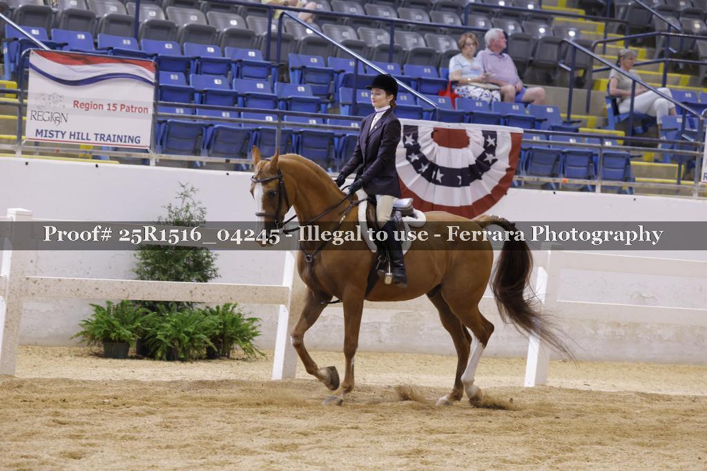 Proof Number 25R1516_04245