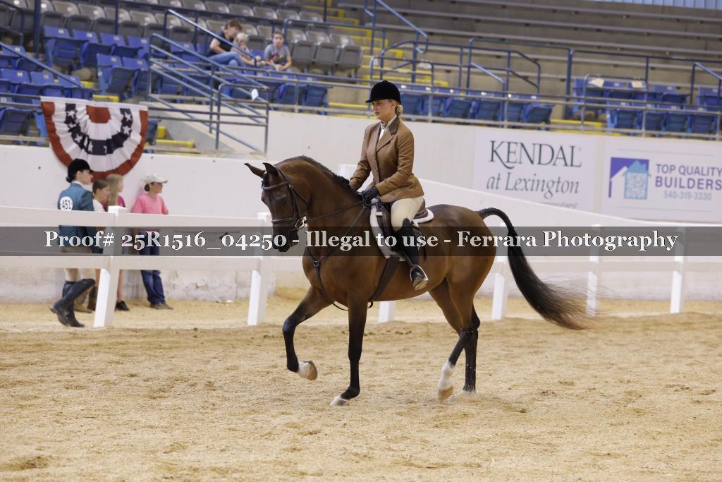 Proof Number 25R1516_04250