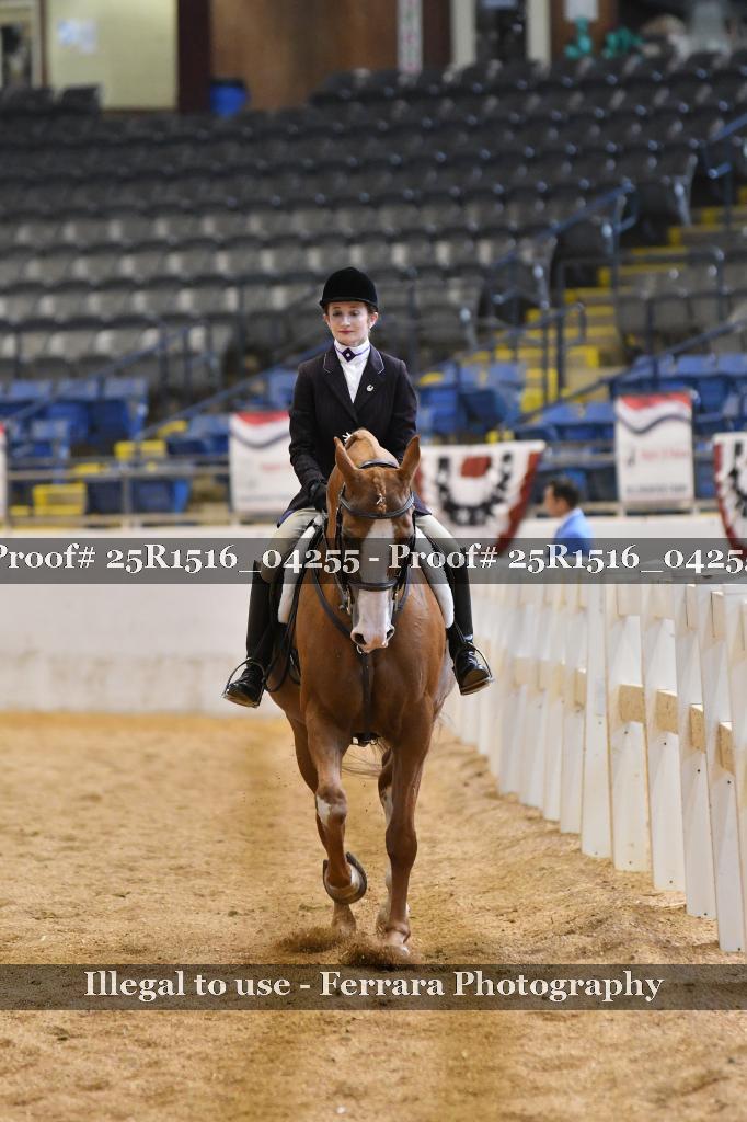 Proof Number 25R1516_04255