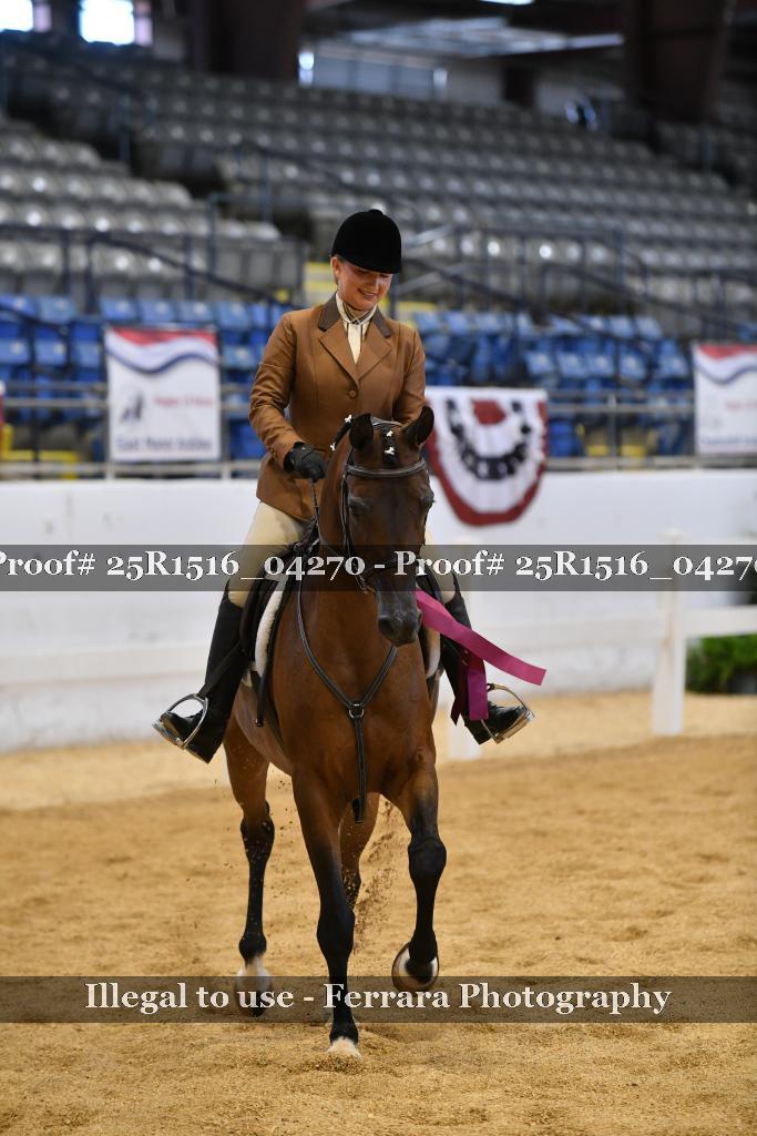 Proof Number 25R1516_04270