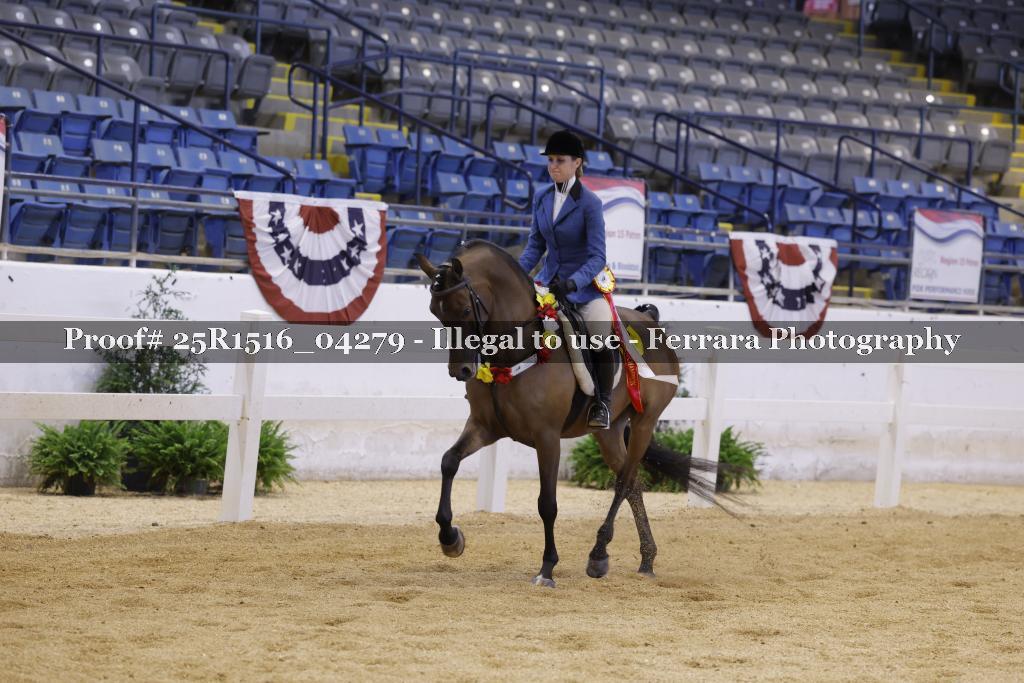 Proof Number 25R1516_04279