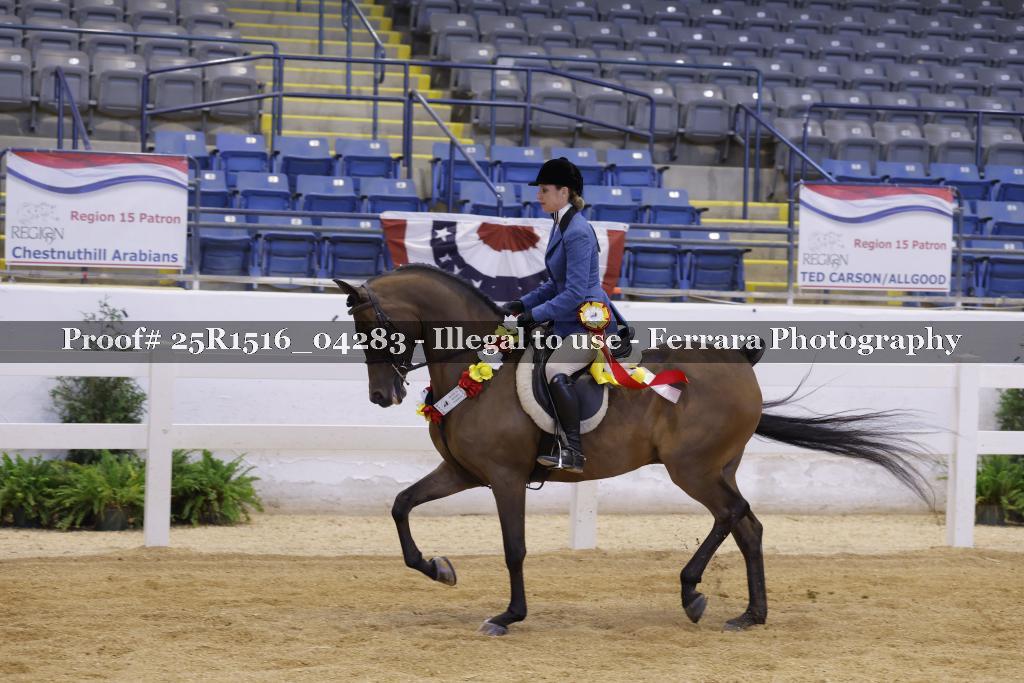 Proof Number 25R1516_04283