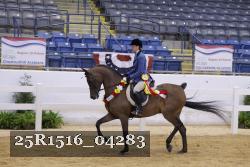 25R1516_04283 thumbnail