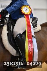 25R1516_04289 thumbnail