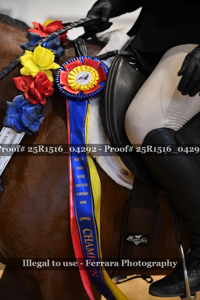 Proof Number 25R1516_04292