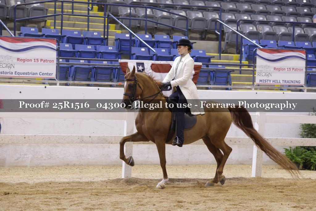 Proof Number 25R1516_04300