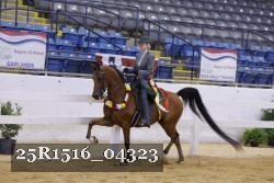 25R1516_04323 thumbnail