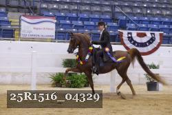 25R1516_04329 thumbnail