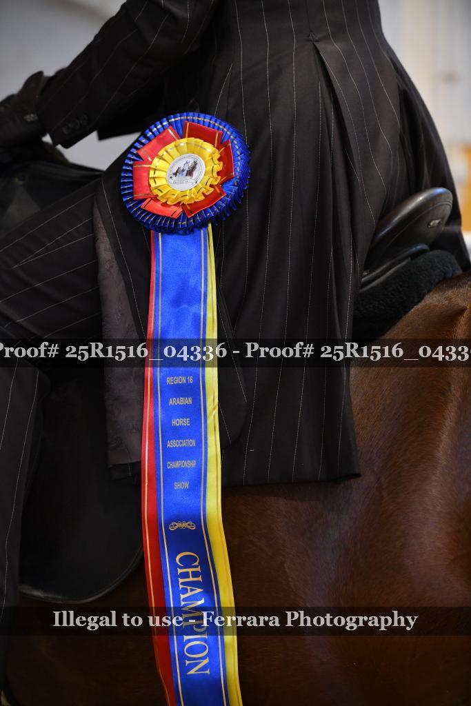 Proof Number 25R1516_04336