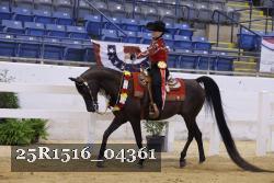 25R1516_04361 thumbnail
