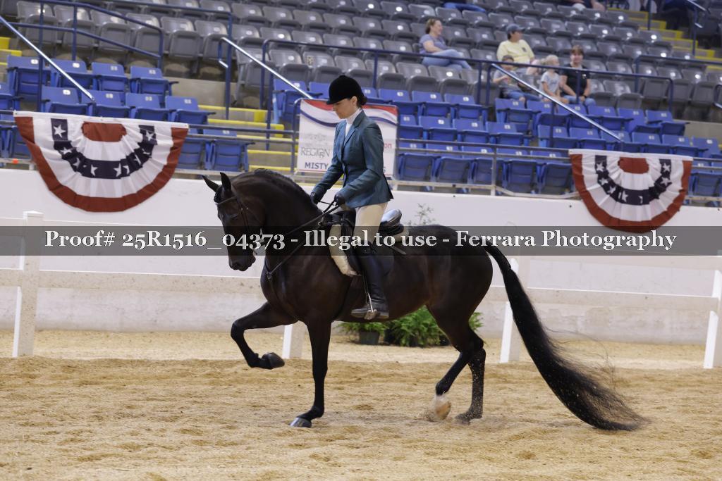 Proof Number 25R1516_04373