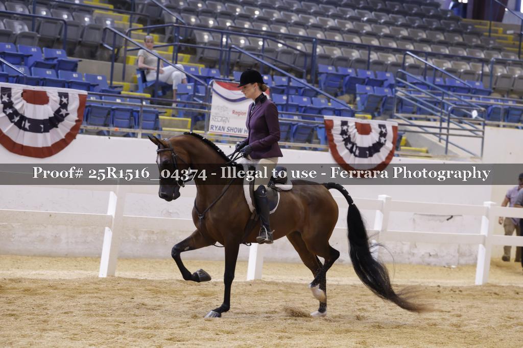 Proof Number 25R1516_04374