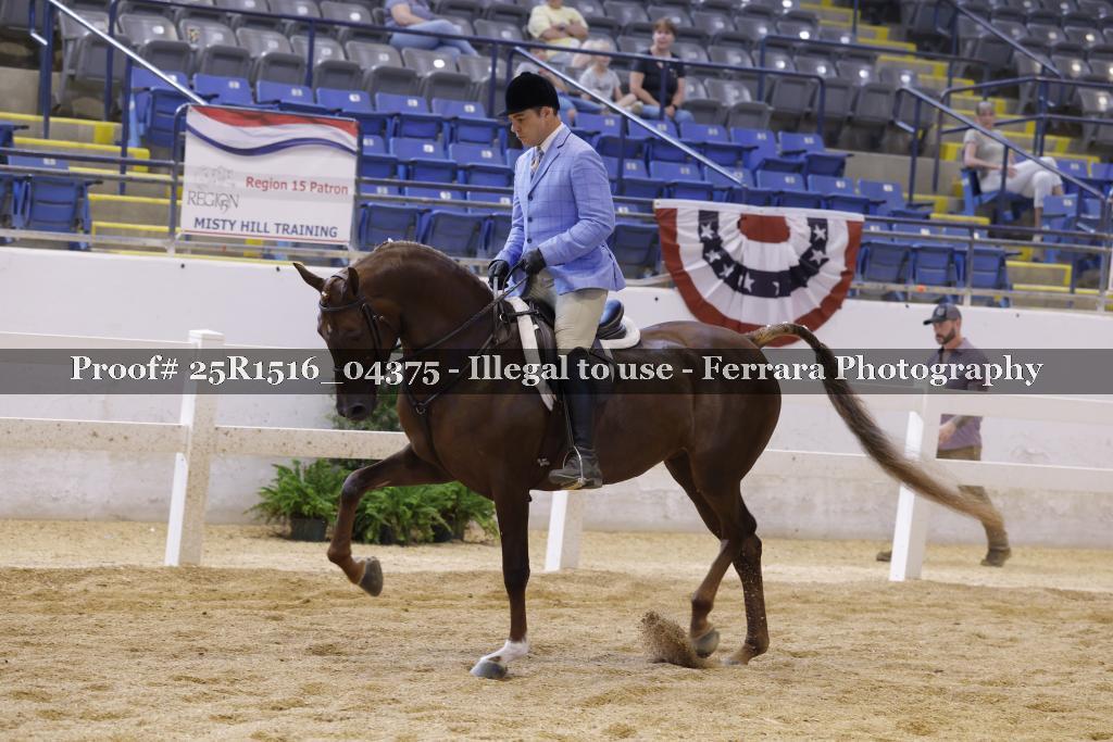 Proof Number 25R1516_04375