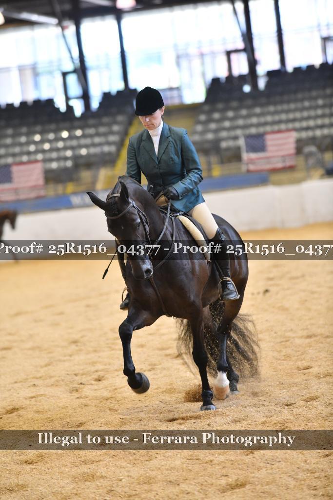 Proof Number 25R1516_04377