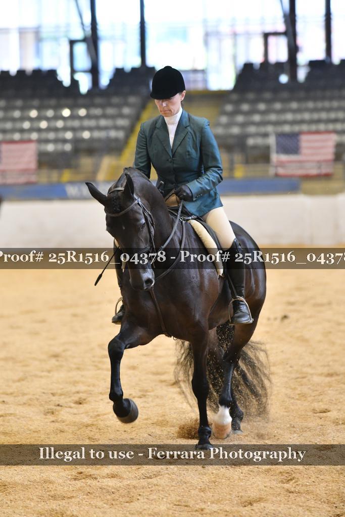 Proof Number 25R1516_04378