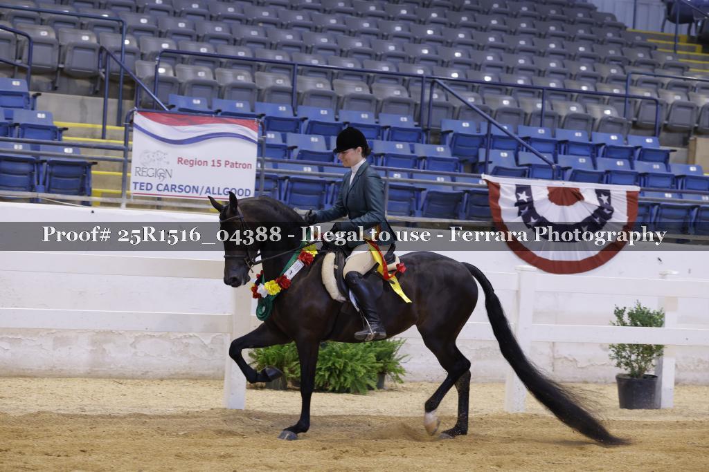 Proof Number 25R1516_04388