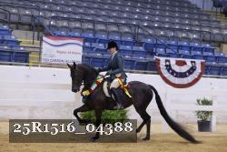 25R1516_04388 thumbnail