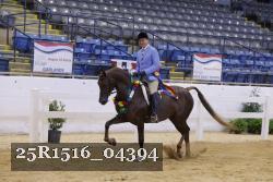 25R1516_04394 thumbnail