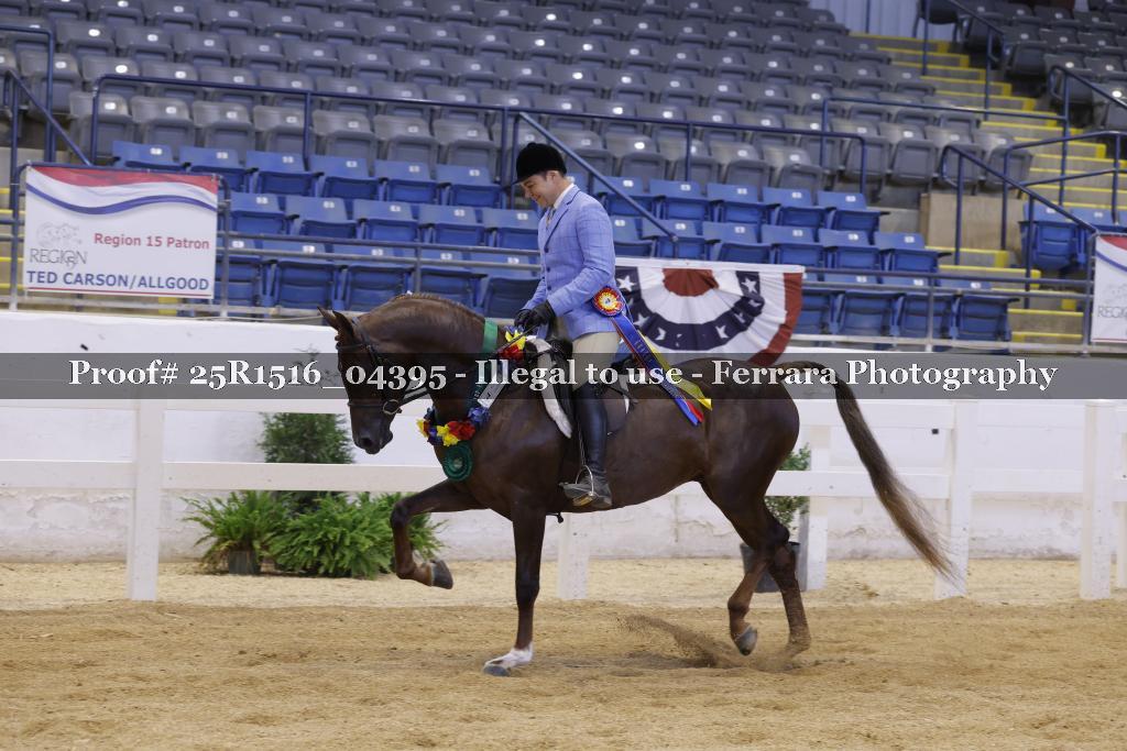 Proof Number 25R1516_04395
