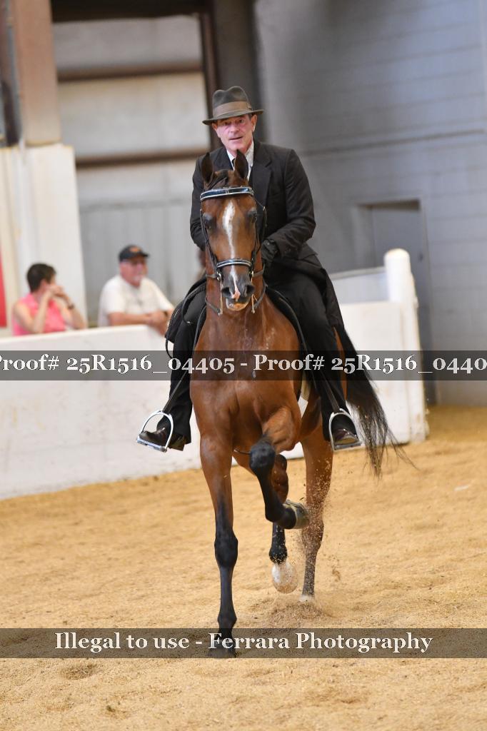 Proof Number 25R1516_04405