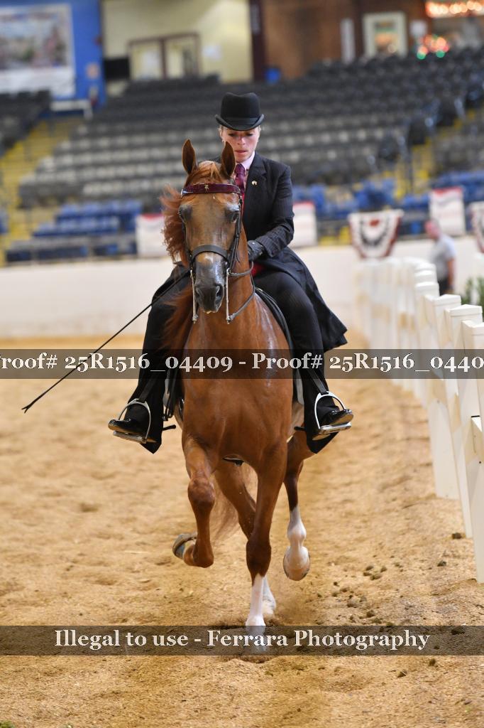 Proof Number 25R1516_04409
