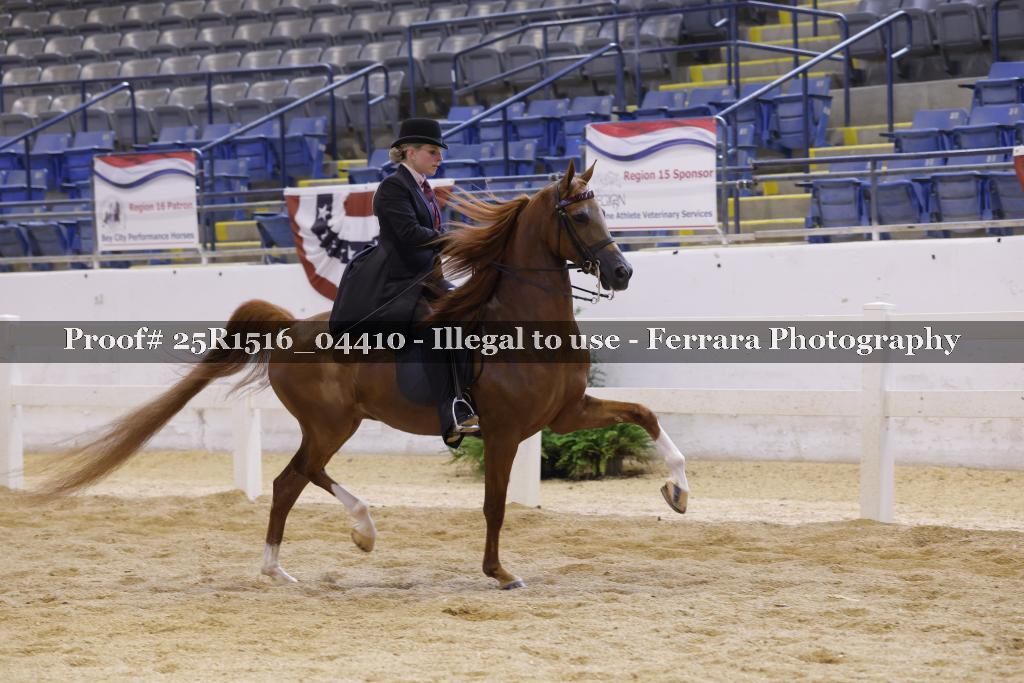 Proof Number 25R1516_04410