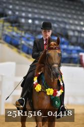 25R1516_04418 thumbnail