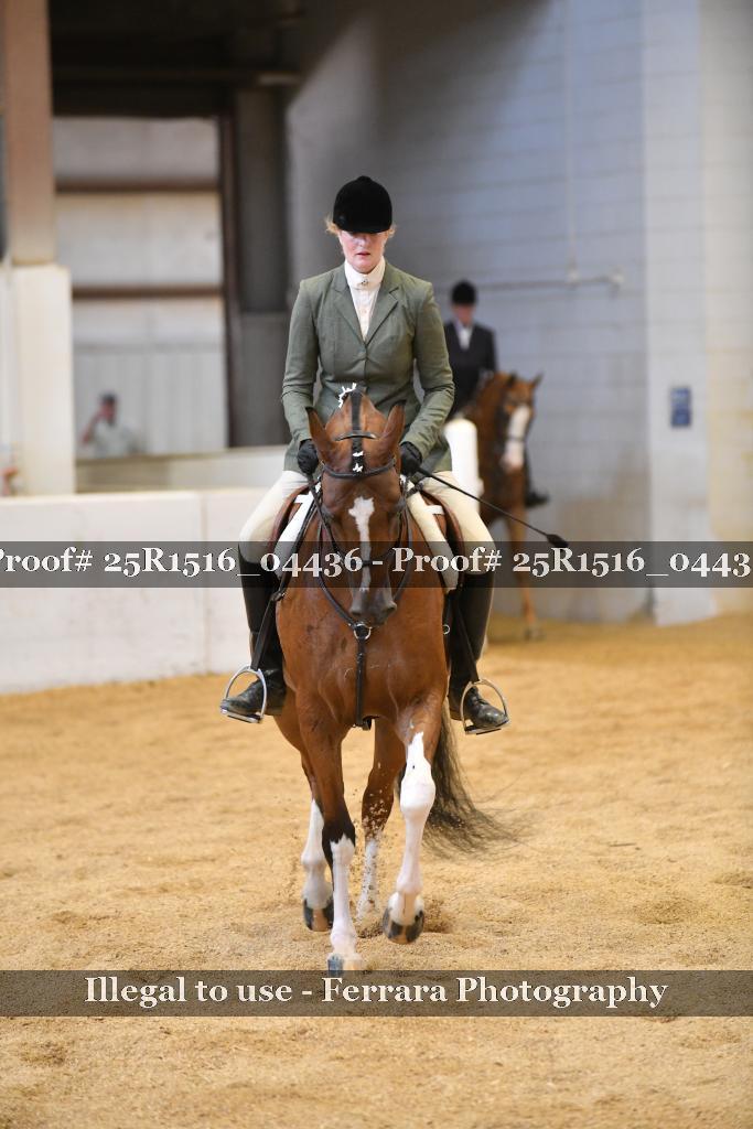 Proof Number 25R1516_04436