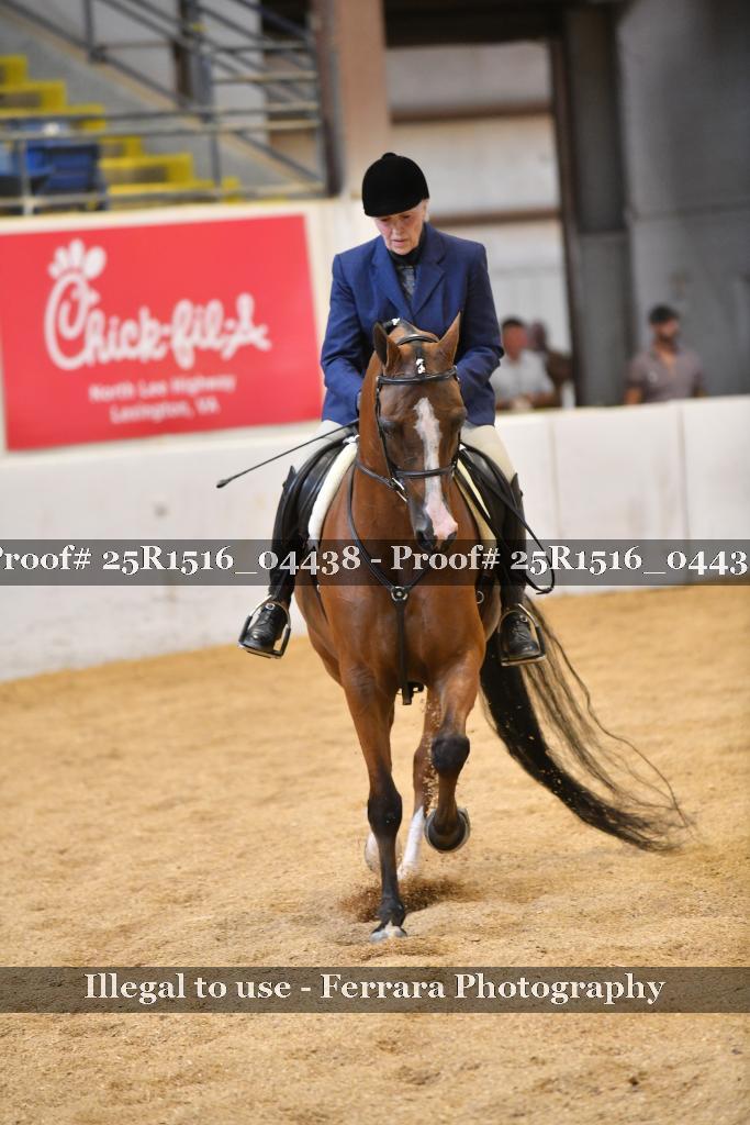 Proof Number 25R1516_04438