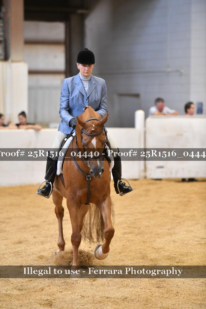 Proof Number 25R1516_04440